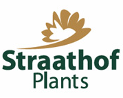 Straathof Plants